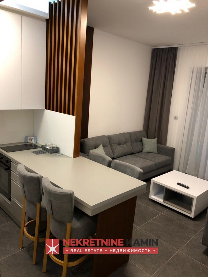Modern One-Bedroom Apartment for Rent in the City Centre, Budva